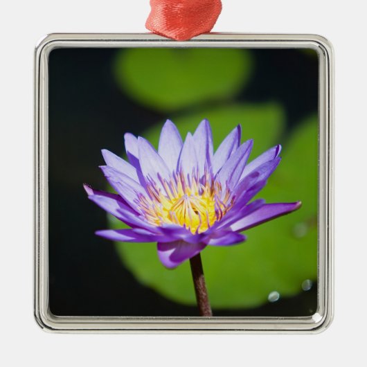 メキシコ，カンクン メタルオーナメント (正面)