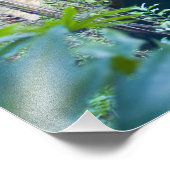 メキシコ、キンタナ・ロー、チチェン・イッツァの近く。 フォトプリント            (角)