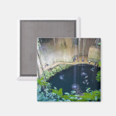 メキシコ、キンタナ・ロー、チチェン・イッツァの近く。 マグネット (正面/裏面)