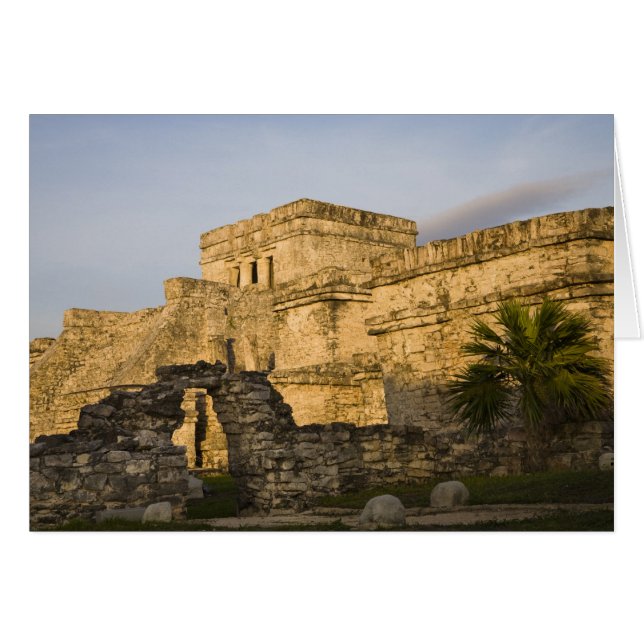 メキシコ、キンタナ・ロー、ユカタン半島、 (正面横)