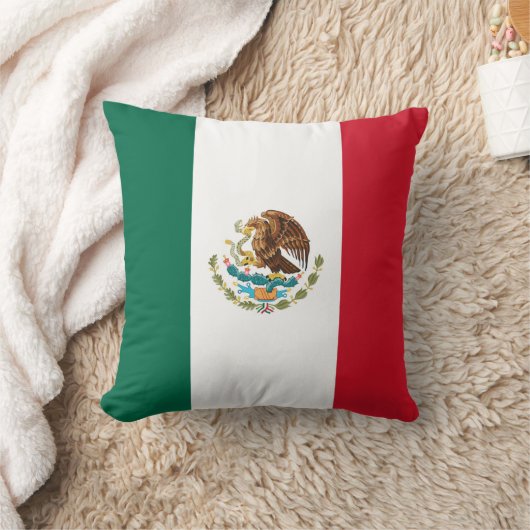 メキシコ クッション (ブランケット)