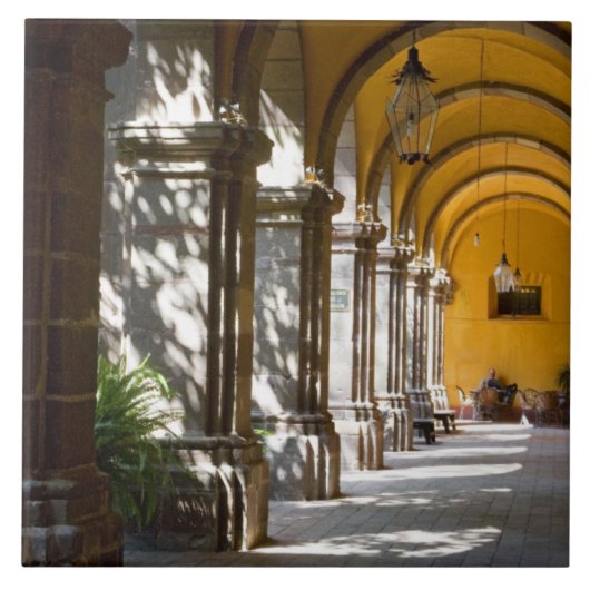 メキシコ、グアナファト州、サン・ミゲル・デ・アレンデ。 タイル (正面)