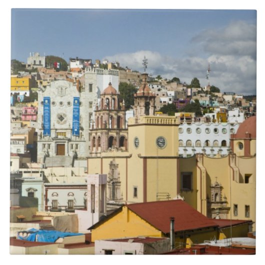 メキシコ グアナフアト州 グアナフアト バシリカ タイル (正面)