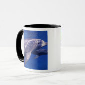 メキシコ、コスメル。 バンドウイルカ、Tursiops 2 マグカップ (正面左)