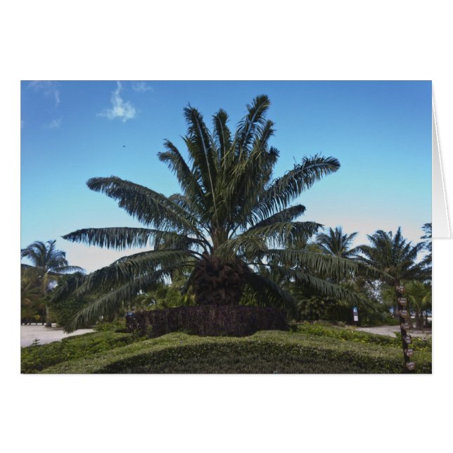 メキシコ、コズメル、チャンカナアブ (正面横)