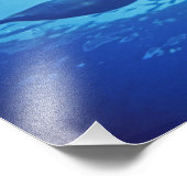 メキシコ、コズメル。トルシオプス・ボトルネッド・ドルフィン フォトプリント            (角)