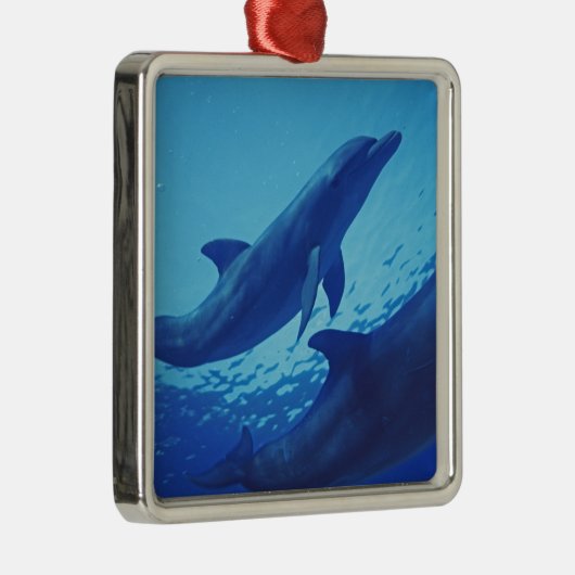 メキシコ、コズメル。トルシオプス・ボトルネッド・ドルフィン メタルオーナメント (右)