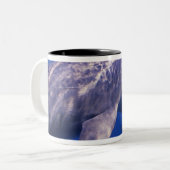 メキシコ、コズメル。トルシオ州ボトルネードドルフィン2 ツートーンマグカップ (正面左)