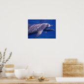 メキシコ、コズメル。トルシオ州ボトルネードドルフィン2 ポスター (キッチン)