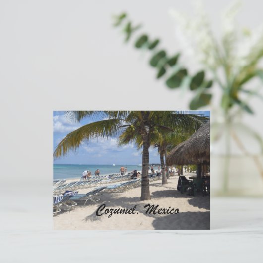 メキシコ，コズメル ポストカード (スタンド正面)