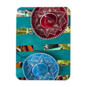 メキシコ、コズメル。Isla de Cozumelのお土産 マグネット (縦)