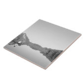 メキシコ、コナンプ公園のレンジャーは息子とパトロールする タイル (側面)