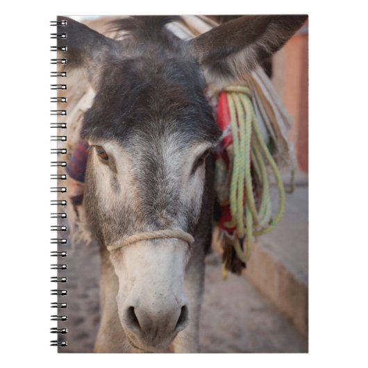 メキシコ、サンミゲルデアジェンデ2 ノートブック (正面)