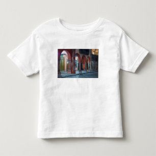 メキシコ、サンミゲルデアジェンデ、ザ ハーディン、 トドラーTシャツ