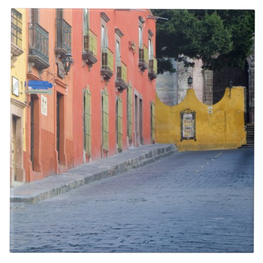 メキシコ、サンミゲルデアジェンデ、住宅沿い タイル (正面)