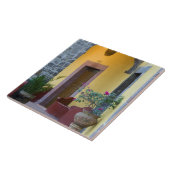 メキシコ、サンミゲル·デ·アレンデ、アークウェイ·エントランス タイル (側面)