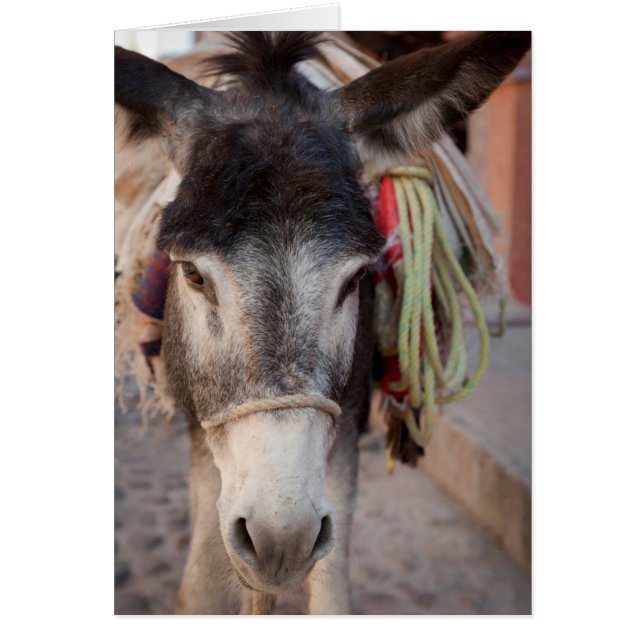 メキシコ、サン・ミゲル・デ・アレンデ2 (正面)