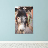 メキシコ、サン・ミゲル・デ・アレンデ2 キャンバスプリント (インサイチュ (ウッドフロア))