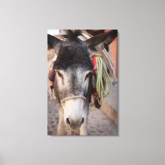 メキシコ、サン・ミゲル・デ・アレンデ2 キャンバスプリント (正面)