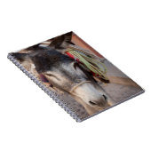 メキシコ、サン・ミゲル・デ・アレンデ2 ノートブック (右側)