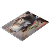 メキシコ、サン・ミゲル・デ・アレンデ2 ノートブック (左側)