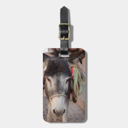 メキシコ、サン・ミゲル・デ・アレンデ2 ラゲッジタグ (正面縦)