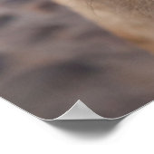 メキシコ、サン・ミゲル・デ・アレンデ ポスター (角)