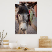 メキシコ、サン・ミゲル・デ・アレンデ ポスター (キッチン)