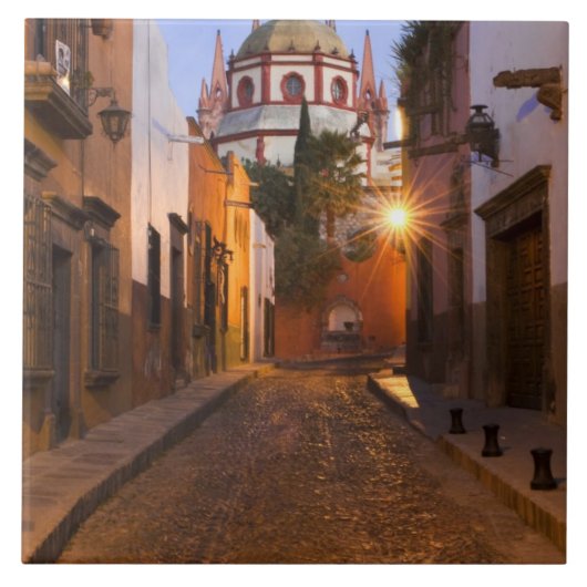 メキシコ、サン·ミゲル·デ·アレンデ。早朝 タイル (正面)