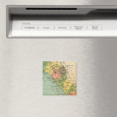 メキシコ，シナロア マグネット (インサイチュ (食洗機))