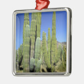 メキシコ、ソノラ、サンカルロス。サグアロ&オルガンパイプ メタルオーナメント (左)