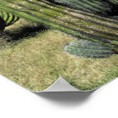 メキシコ、ソノラ、サンカルロス。Saguaro & Organ Pipe ポスター (角)