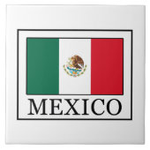 メキシコ タイル (正面)