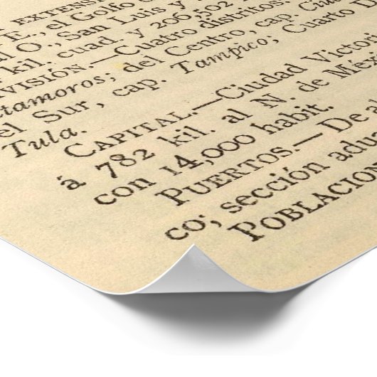 メキシコ,タマウリパス ポスター (角)