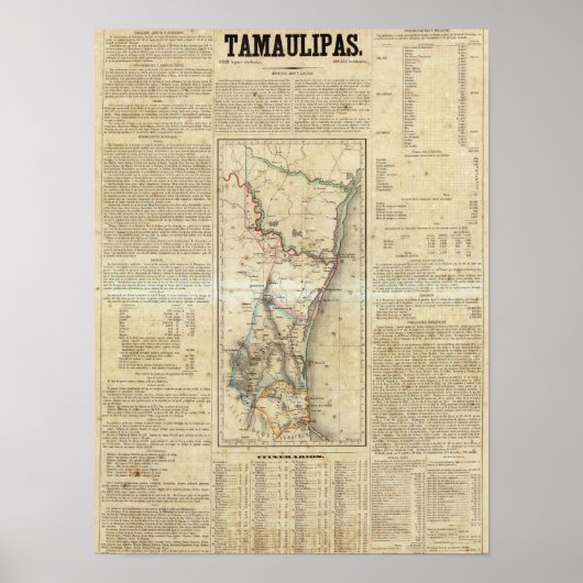 メキシコ，タマウリパス ポスター (正面)