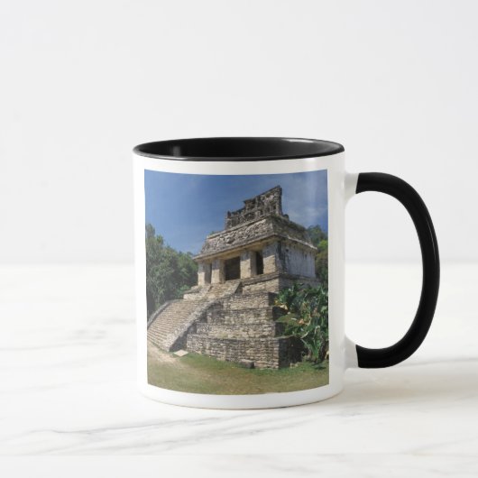 メキシコ チアパス州 パレンケ 寺院 マグカップ (右)