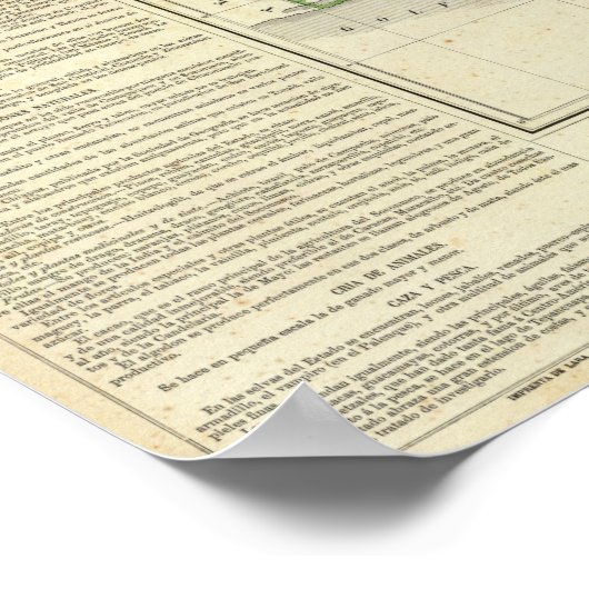 メキシコ，チアパス ポスター (角)