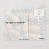 メキシコ，チューラム，パイナップル ポストカード (裏面)