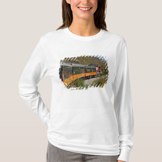 メキシコ、チワワ州、コッパーキャニオン。眺めは Tシャツ (正面)