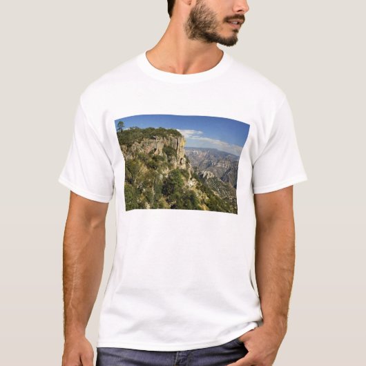 メキシコ、チワワ州、コッパーキャニオン。THIS Tシャツ (正面)