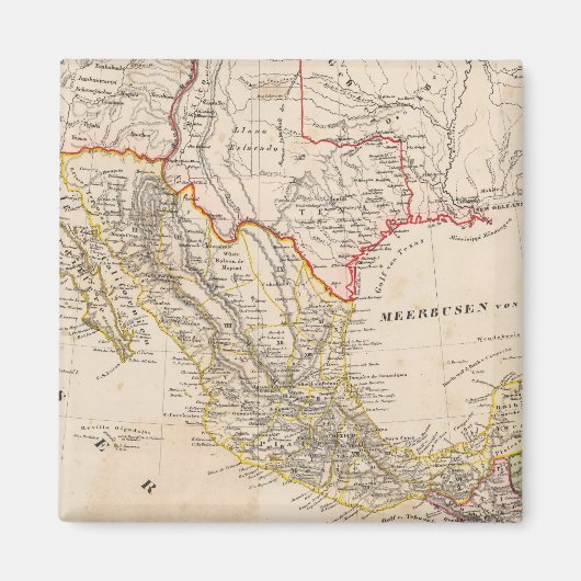 メキシコ，テキサス州 マグネット (正面)