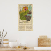 メキシコ，ディストリート連邦2 ポスター (キッチン)