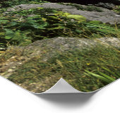 メキシコ，トゥルム ポスター (角)