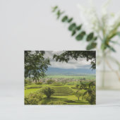 メキシコ、ナヤリット、サユリタのピラミッド遺跡 ポストカード (スタンド正面)