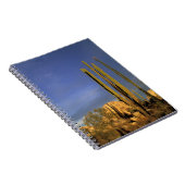 メキシコ、バハデルノルテ、カタビナ砂漠ナショナル ノートブック (右側)