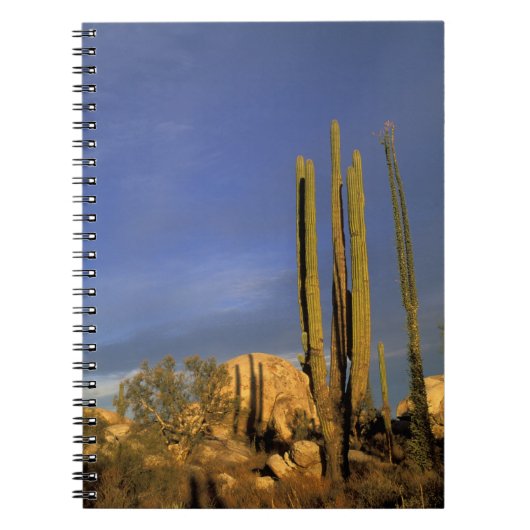 メキシコ、バハデルノルテ、カタビナ砂漠ナショナル ノートブック (正面)