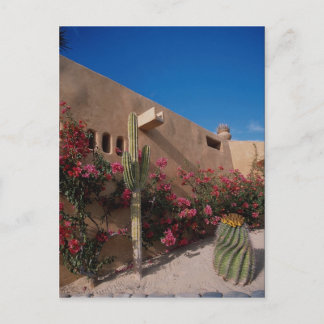 メキシコ，バハ，カボサンルーカス ポストカード