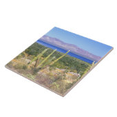 メキシコ、バハ・カリフォルニアシュル、カルドン・サボツ タイル (側面)