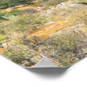 メキシコ、バハ・カリフォルニアシュル、カルドン・サボツ ポスター (角)