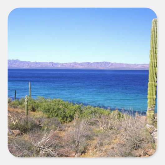 メキシコ、バハ·カリフォルニア·スール、ミュレージュ、バイア2 スクエアシール (正面)